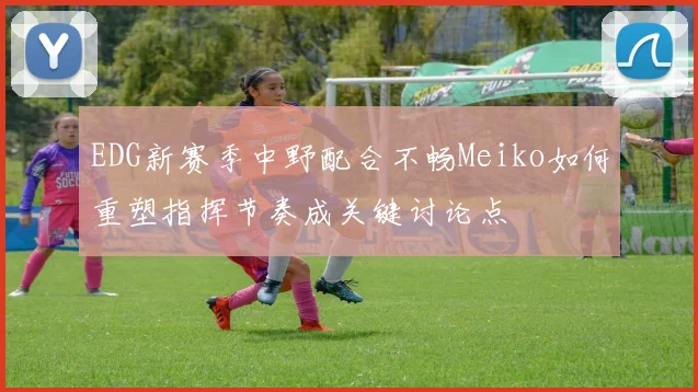 EDG新赛季中野配合不畅Meiko如何重塑指挥节奏成关键讨论点