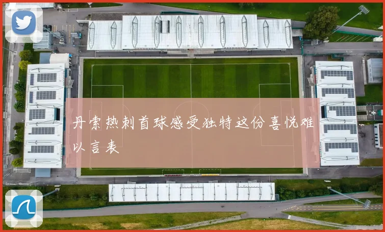 丹索热刺首球感受独特这份喜悦难以言表